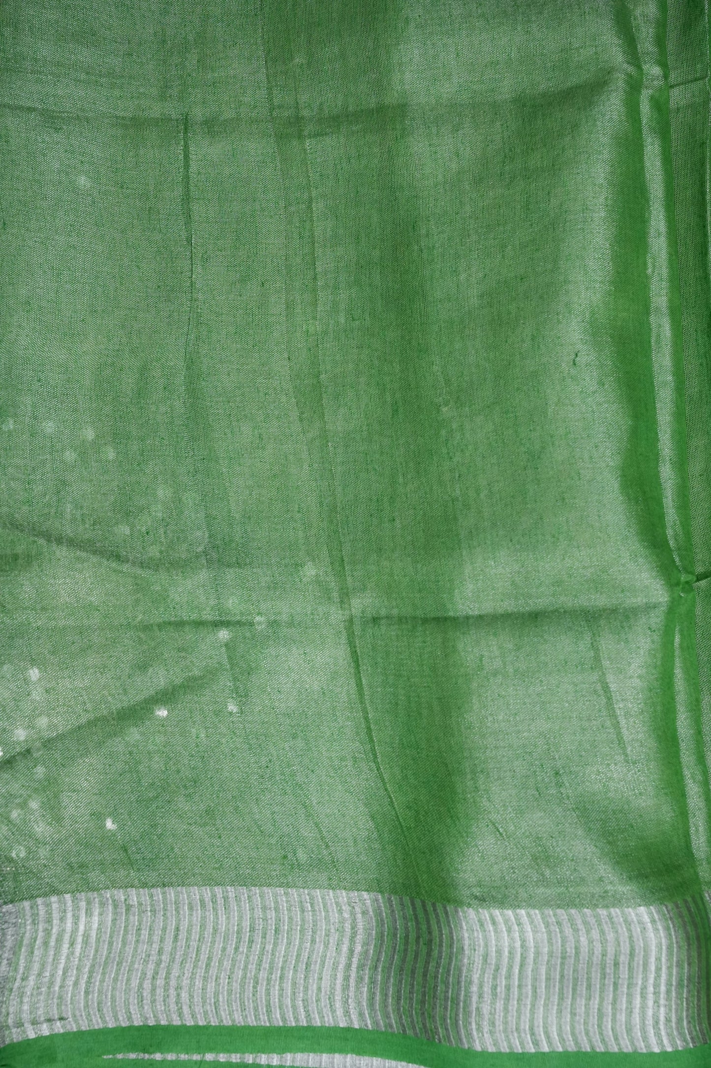 Hand Embroidered Pure Tissue Linen Silk Saree - Leaf Green
