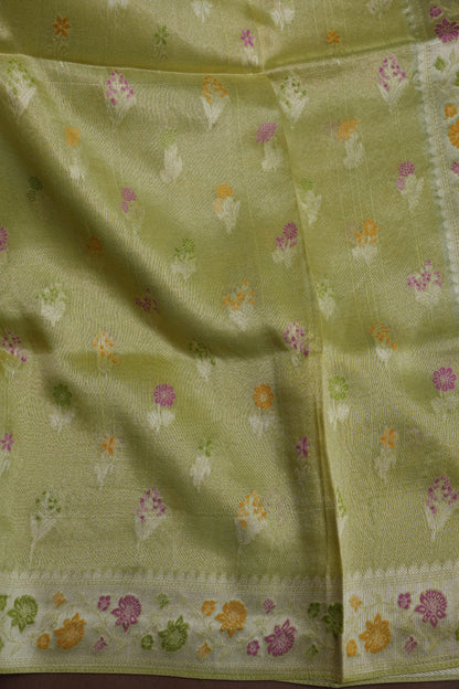 Mellow Tissue Pastel Green Saree with Banarasi Silver Weaving & Paithani Borders