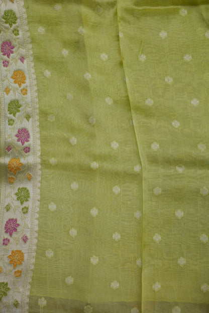 Mellow Tissue Pastel Green Saree with Banarasi Silver Weaving & Paithani Borders