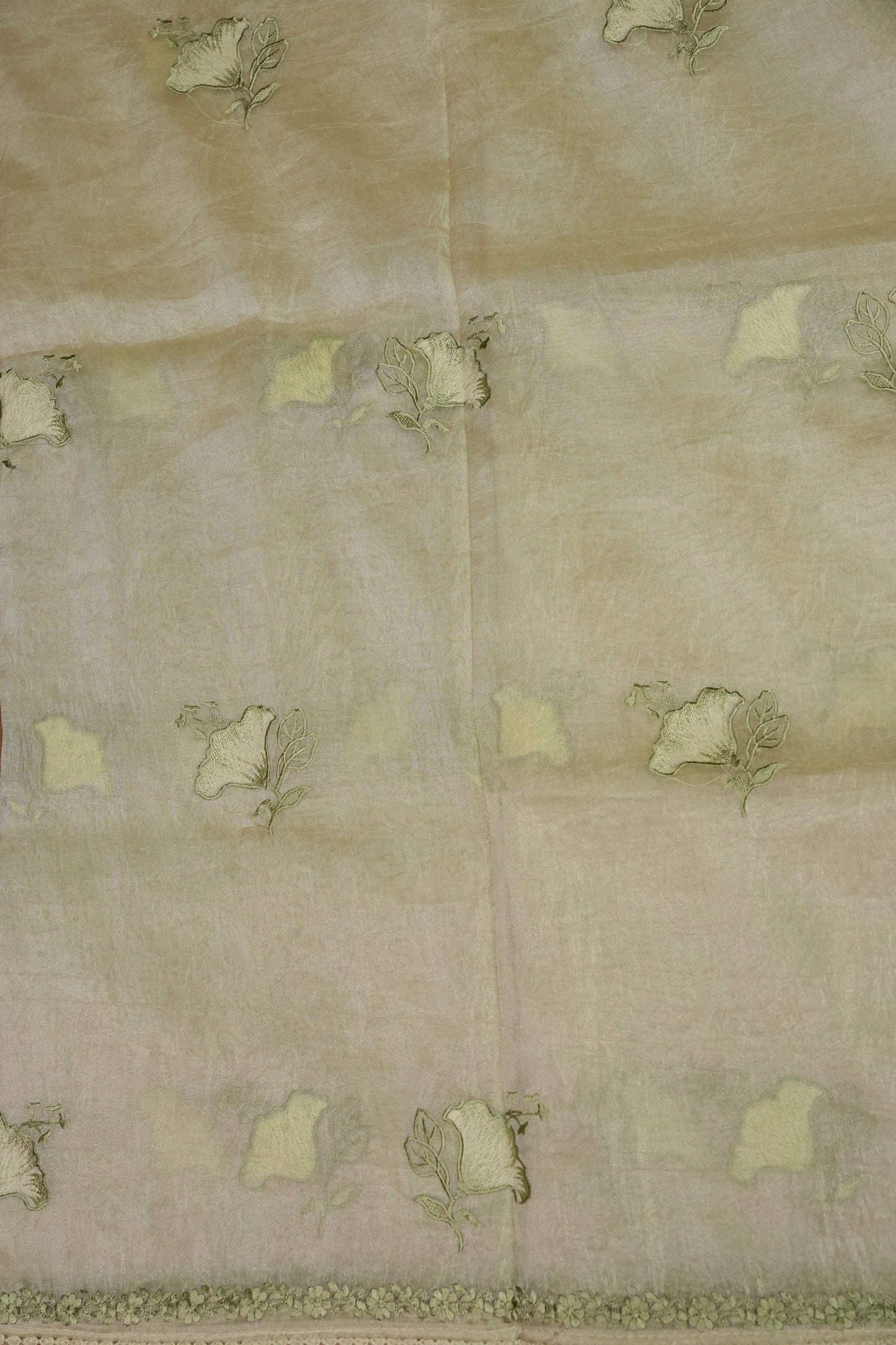 Soft Organza Saree with Floral Embroidery - Light Pistachio Green