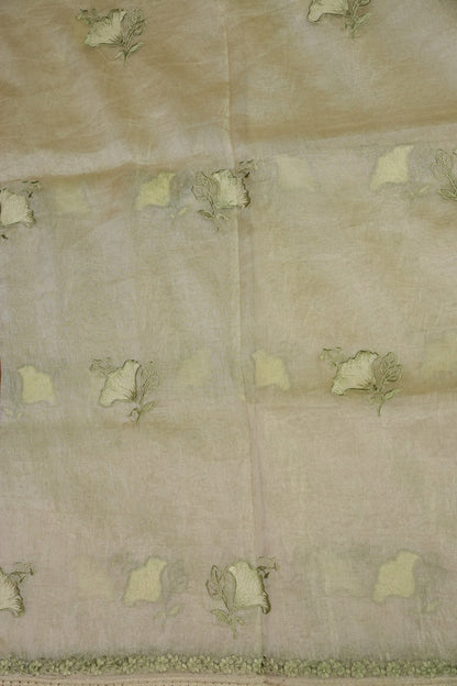 Soft Organza Saree with Floral Embroidery - Light Pistachio Green