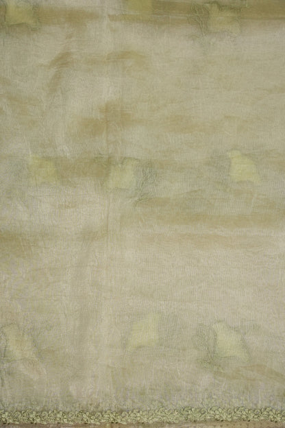 Soft Organza Saree with Floral Embroidery - Light Pistachio Green