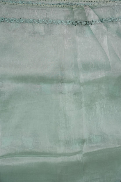 Soft Organza Saree with Floral Embroidery - Powder Blue