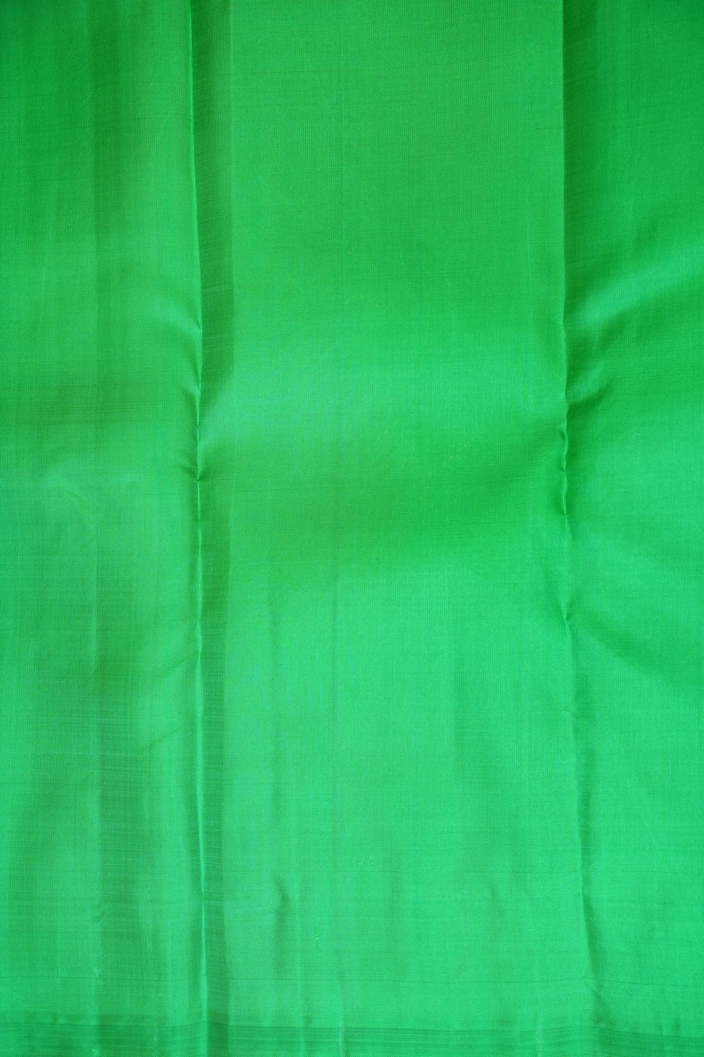 Borderless Pure Kanchipuram Silk Saree with Gold Zari Stripes - Parrot Green & Deep Red