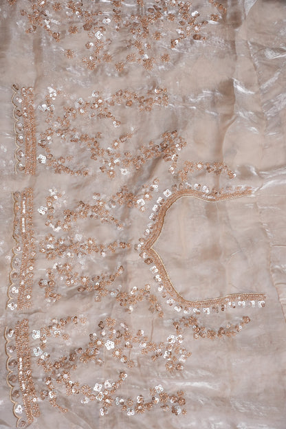 Champagne Blush Sequin Embroidered Party Wear Saree|Subarnam's Exclusive