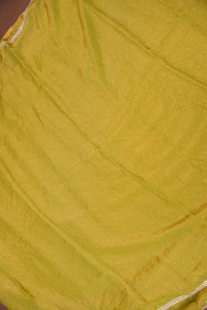 Lime Green Crystal Embellished Party Wear Saree