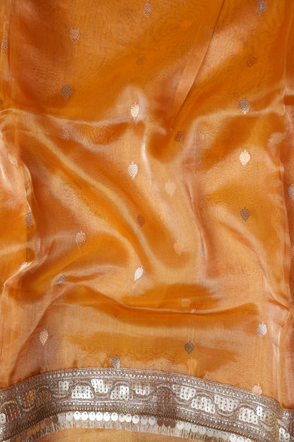 Bronze Orange Tissue Organza Pure Silk Saree