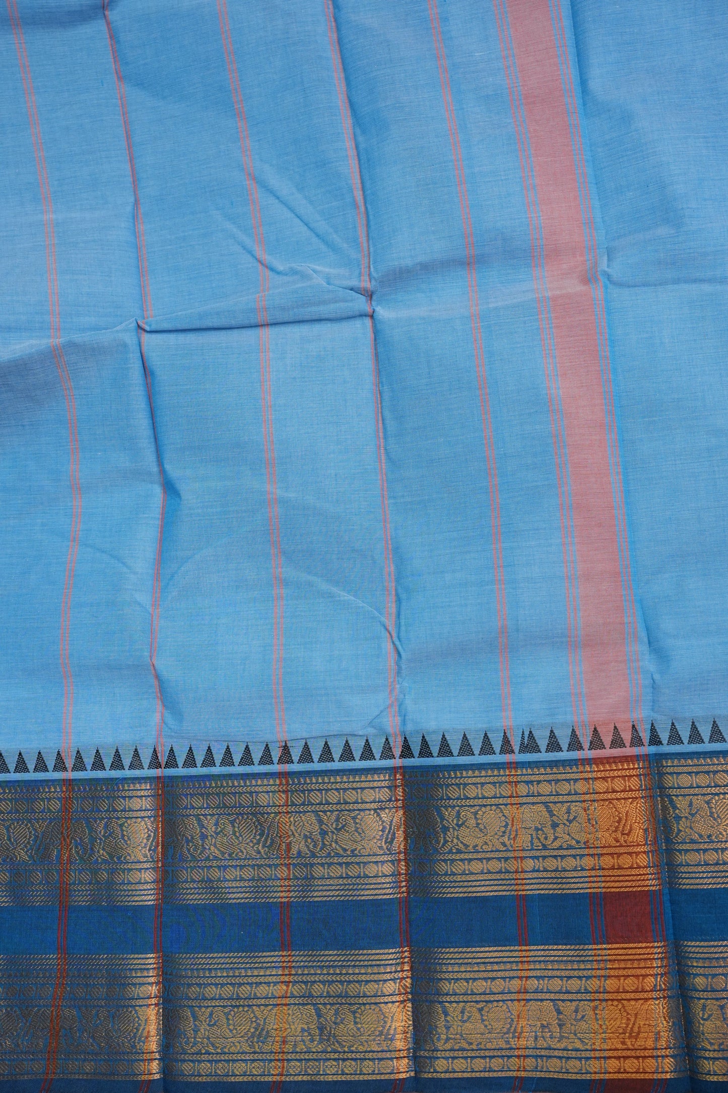 Kanchi Cotton Sarees - Baby Blue