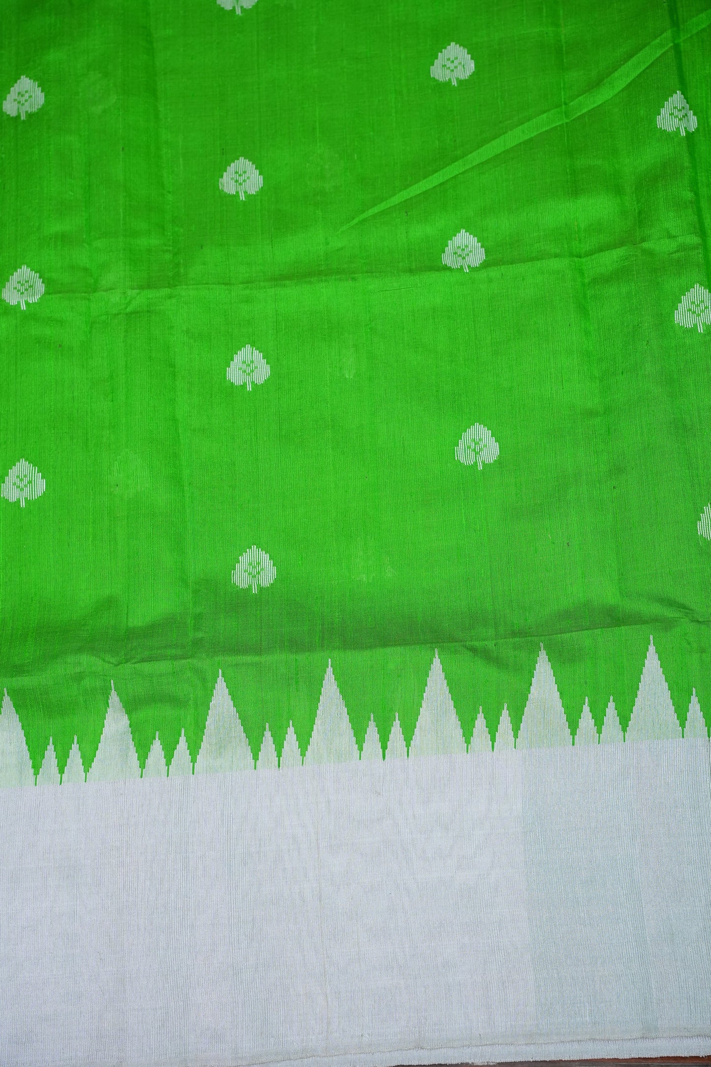 Pure Raw Silk Saree – Green & White