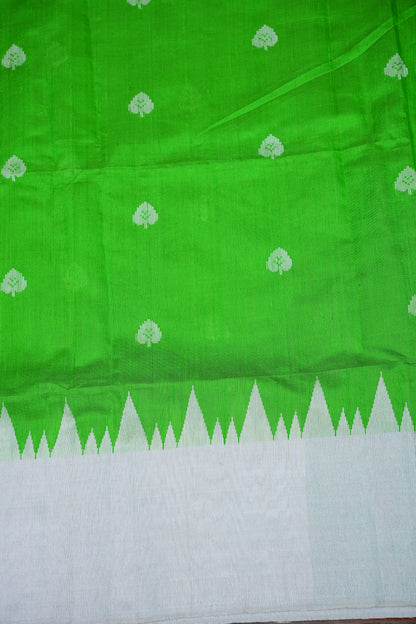 Pure Raw Silk Saree – Green & White