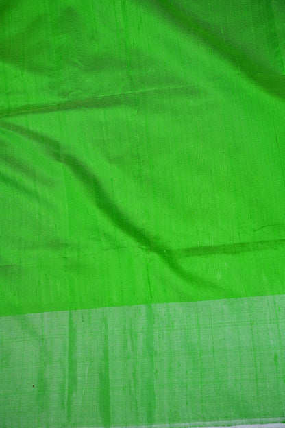 Pure Raw Silk Saree – Green & White