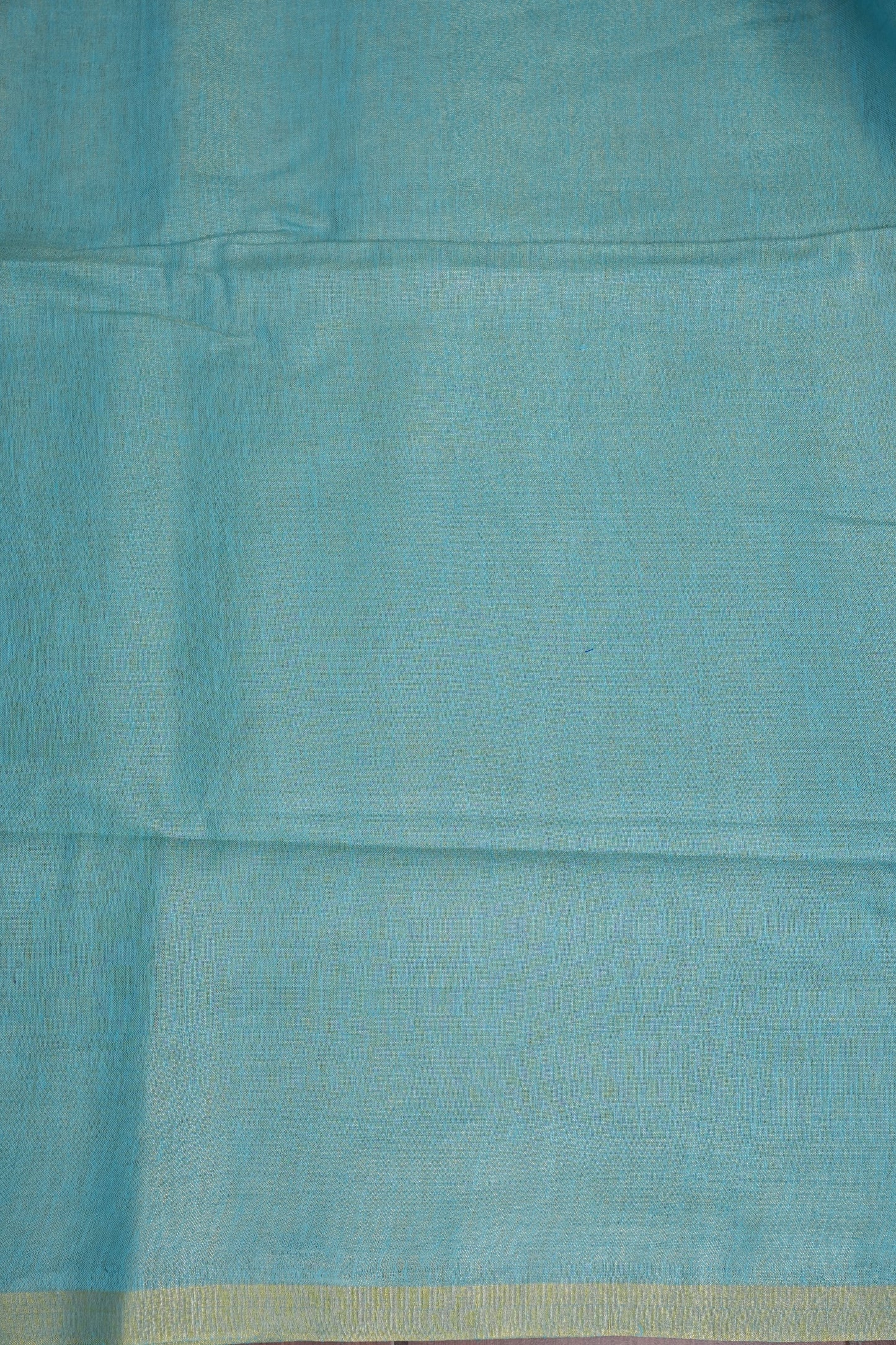 Sky Blue & Soft Gold Tissue Linen Saree