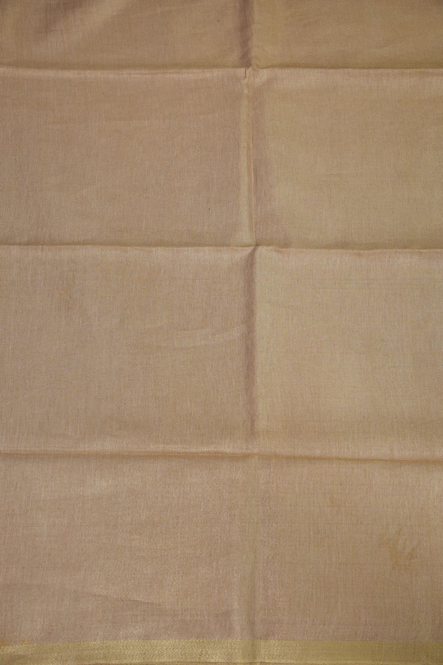 Champagne Beige & Soft Gold Tissue Linen Saree