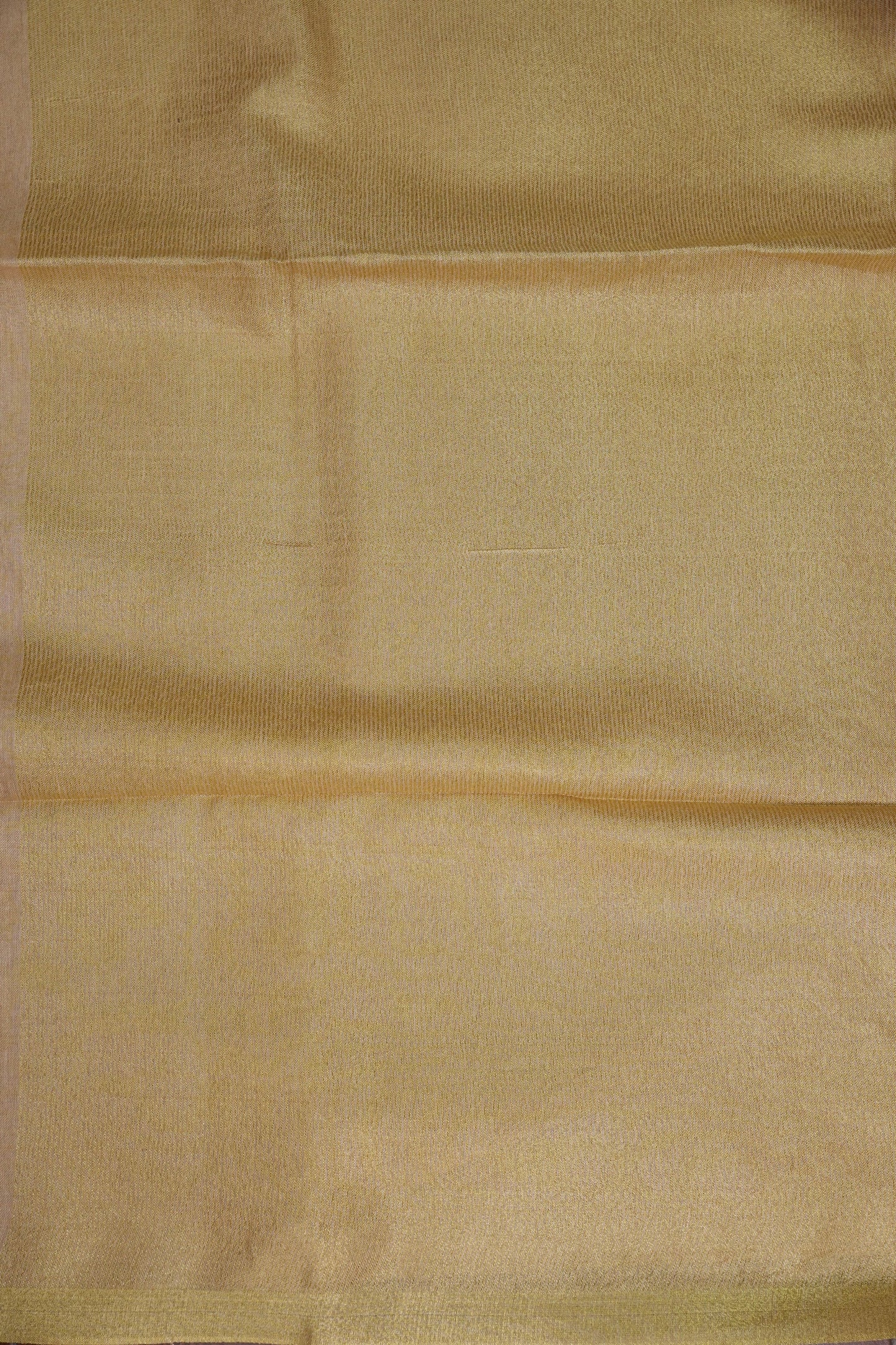 Champagne Beige & Soft Gold Tissue Linen Saree