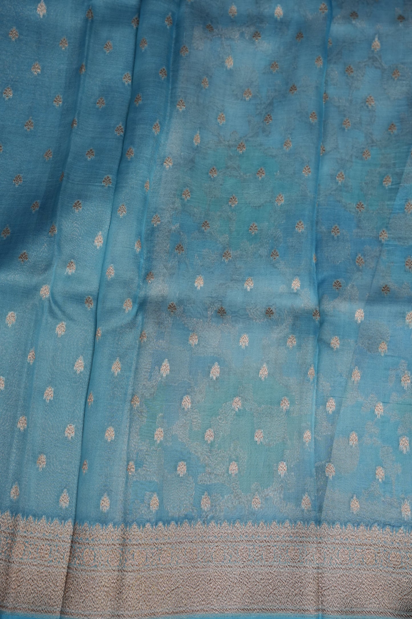 Pure Kora Banarasi Silk Saree with Floral Jaal Weaving – Sky Blue & Mint Green