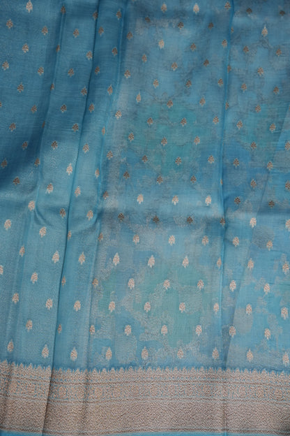 Pure Kora Banarasi Silk Saree with Floral Jaal Weaving – Sky Blue & Mint Green