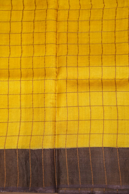 Pure Tussar Silk Saree with Handpainted Blouse-|Silk Mark Certified