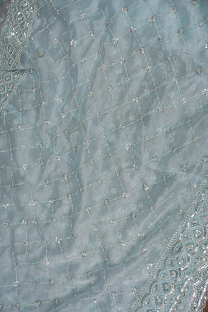 Party Wear Organza Saree with Silver Sequin Lattice - Pastel Blue