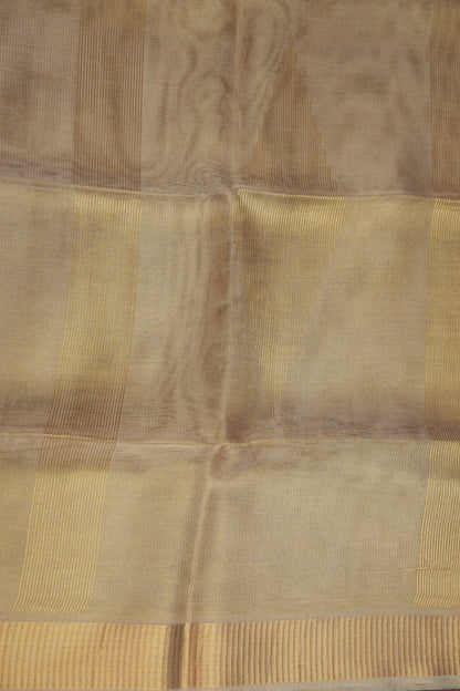 Premium Tissue Silk Saree – Elegant Champagne Gold Grace