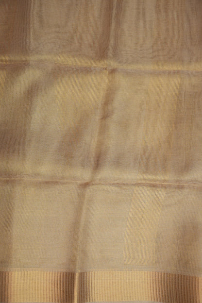Premium Tissue Silk Saree – Elegant Champagne Gold Grace