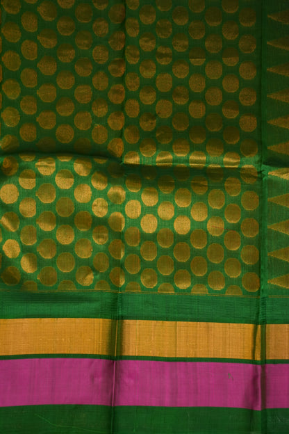 Pure Kuppadam Korvai Silk Cotton Pattu Saree-Ivory & Green
