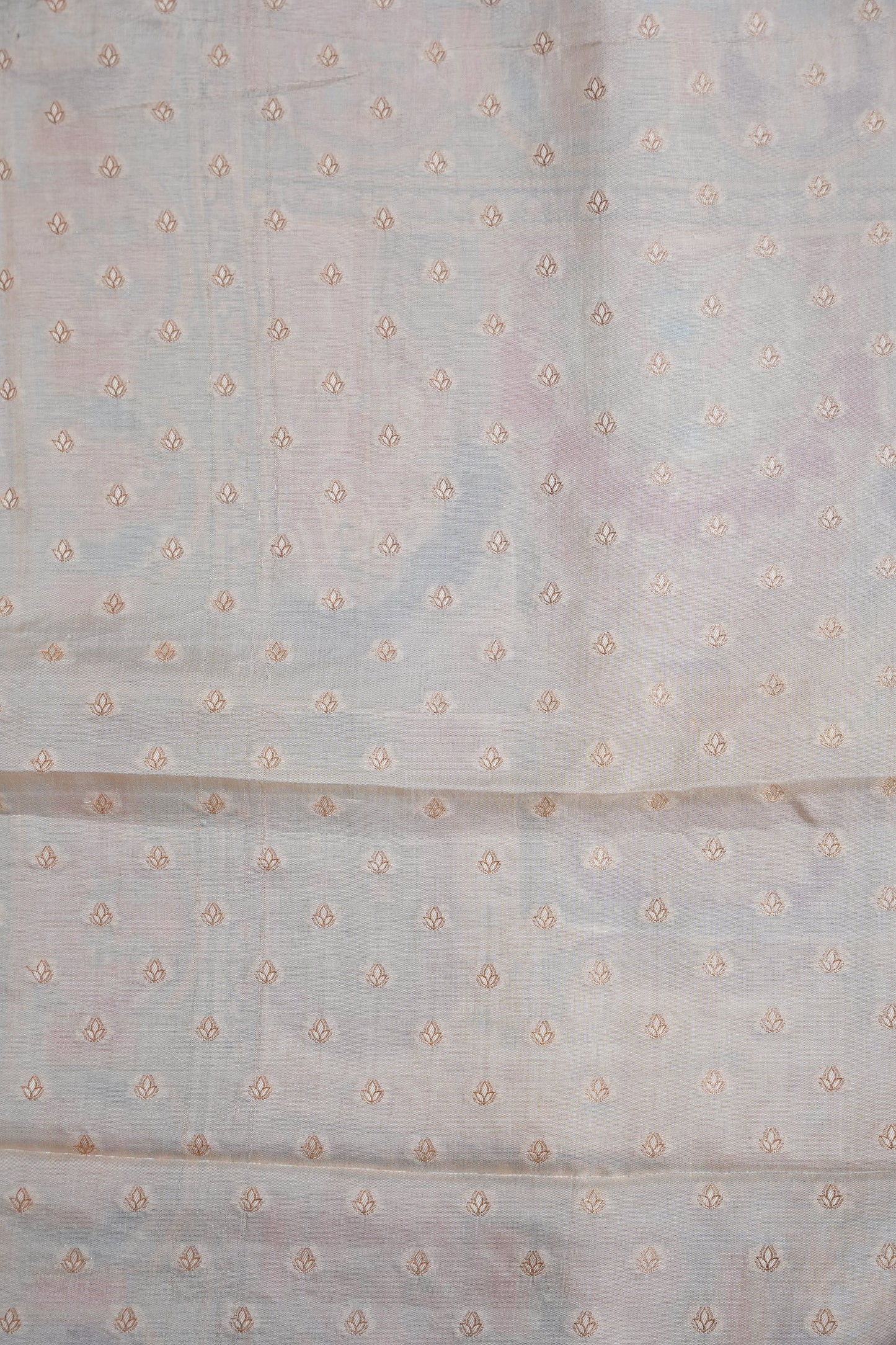 Kashmiri Pashmina Banarasi Story Telling Saree - Ivory
