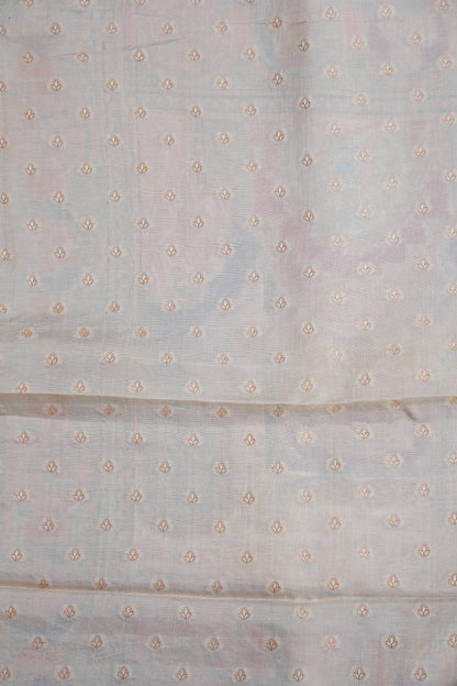 Kashmiri Pashmina Banarasi Story Telling Saree - Ivory